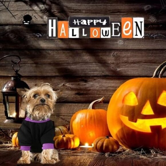 New Halloween Pumpkin Costume -Thermal Fleece Hoodie for Small Dogs Toy Dog. - Picture 1 of 12